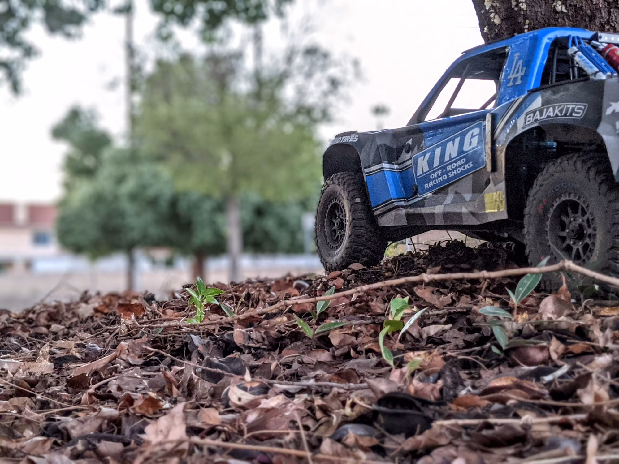 Adventure Awaits: Your Guide to Off-Roading Thrills