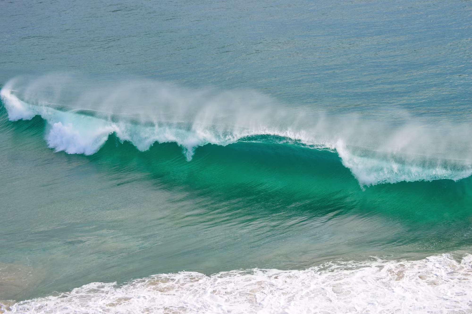 Discovering the Wonders of Tropical Seas: A Journey into Paradise
